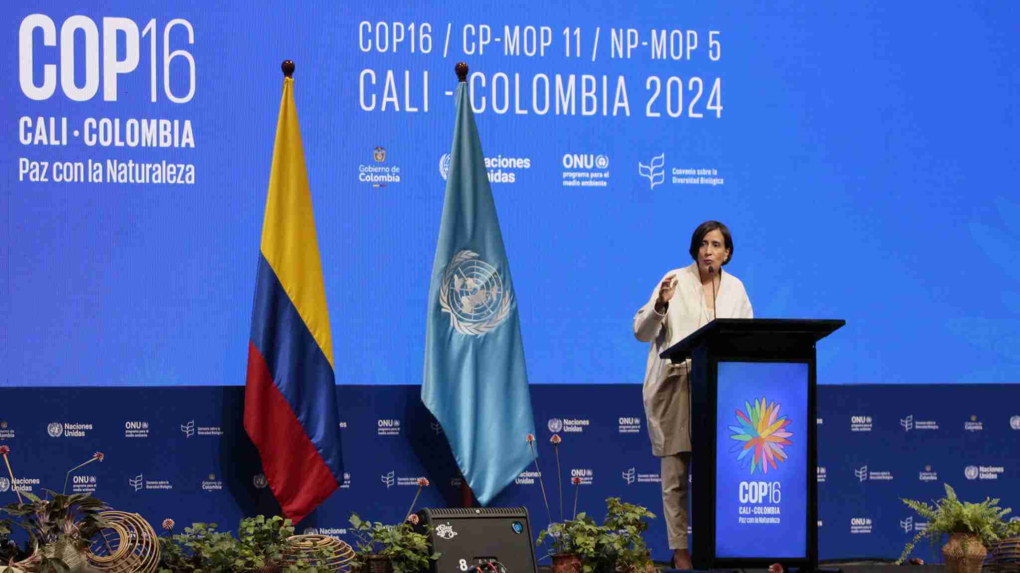 CEBDS mobiliza setor empresarial para ações durante a COP16