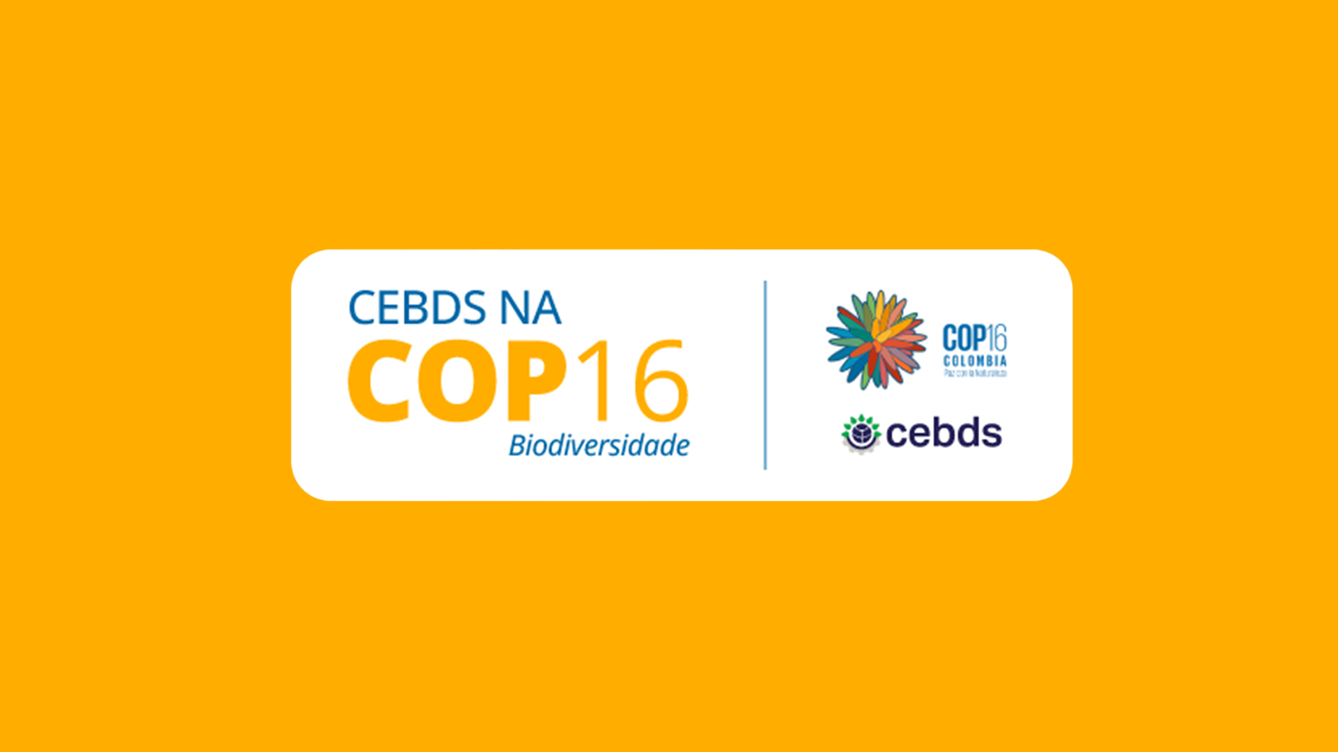 Setor privado brasileiro terá delegação com 42 empresas na COP16